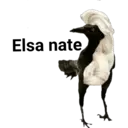 Klistermärke