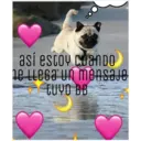 מדבקה
