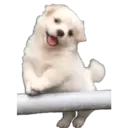 Figurinha