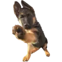 Figurinha