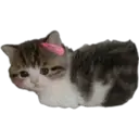 Figurinha