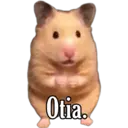 Figurinha