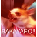 Samolepka