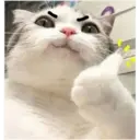 Samolepka
