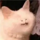 Samolepka
