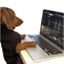 สติกเกอร์