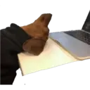 สติกเกอร์