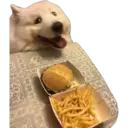 สติกเกอร์