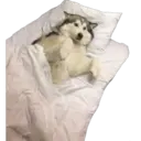 สติกเกอร์