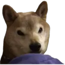 สติกเกอร์