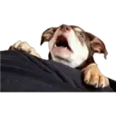 สติกเกอร์