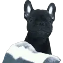 สติกเกอร์