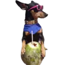 สติกเกอร์