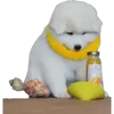 สติกเกอร์