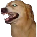 สติกเกอร์