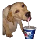 สติกเกอร์