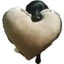 สติกเกอร์