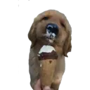 สติกเกอร์