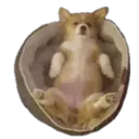 สติกเกอร์