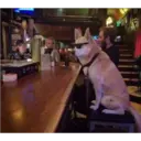 สติกเกอร์