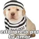 Stika