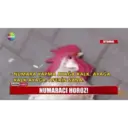 Adhesiu