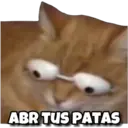 Autocolant