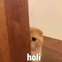 Nhãn dán