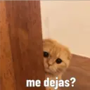 Nhãn dán