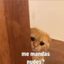 Nhãn dán