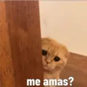 Nhãn dán