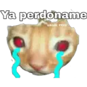 Stika