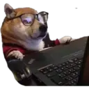 স্টিকার