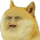 স্টিকার