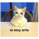 Límmiði