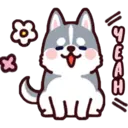 Stiker
