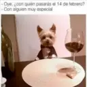 贴纸