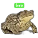 ملصق