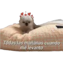 Stika