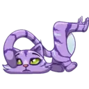 స్టికర్