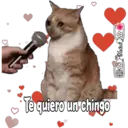 Stika