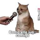 Stika