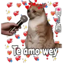 Stika