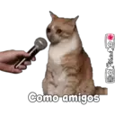 Stika