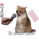 Stika