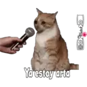 Stika