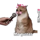 Stika