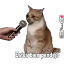 Stika