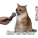 Stika