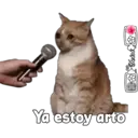 Stika
